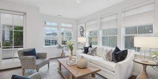 Society at Laurens Gallery 5