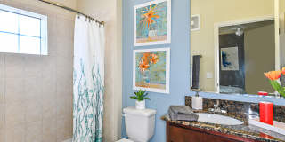 Sanctuary at Eagle Creek Apartments Gallery 20