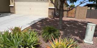 Spacious 4BD/2BA in Verrado Gallery 3