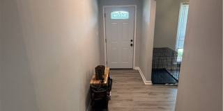 7817 Laura Ann Court Gallery 4