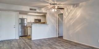 Haven at South Mountain Gallery 25