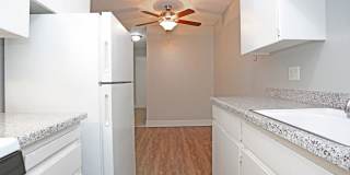 Olive Square Gallery 1