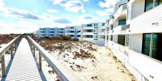 253 Dune Gallery 1