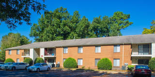 Willow Oaks Gallery 11