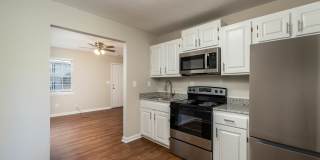 Axis on Roan Gallery 3