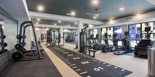 Alta Goodyear Gallery 17