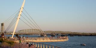 The Oliveen Gallery 35