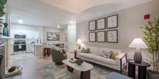 Bristol Village Apartments Gallery 4