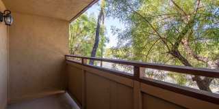 Volterra at La Mesa Gallery 33