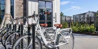 The Hadley Gallery 30