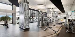 Motion at Dadeland Gallery 21