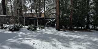 272 Santa Clara Boulevard Gallery 5