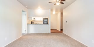 Pine Ridge Apartment Homes Gallery 23