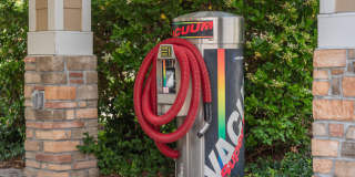 Red Knot at Edinburgh Gallery 57