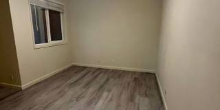 3-Bedroom 1 1/2 bathroom home in Springfield Gallery 15