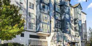 Apex Apartments Gallery 35