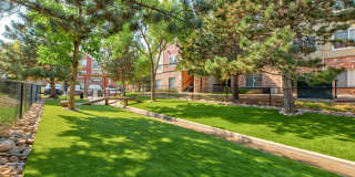 Oak Trail at Cherry Creek South Gallery 23