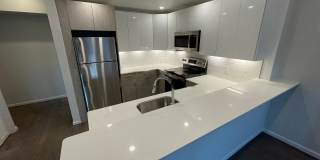 Modern Coolidge Corner BROOKLINE 3bd 2ba Modern Coolidge Corner BROOKLINE 3bd 2ba Gallery 3