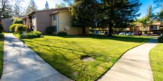 Meadowood Village Gallery 5