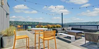 Vive Ballard Gallery 19