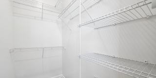 Cottage Court Gallery 81