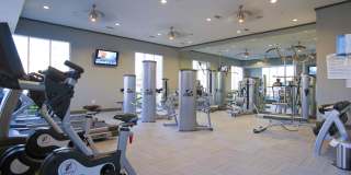 Camden Travis Street Gallery 25