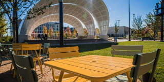 Greenhouse Gallery 53