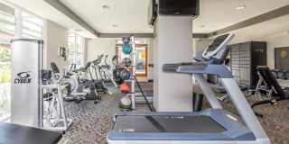 The Village at Town Center Gallery 13