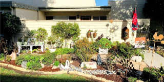 956 Calle Aragon Gallery 1