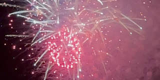 34 N Montgomery Ave Gallery 26