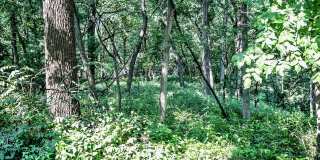 Deer Park Apartments Gallery 27