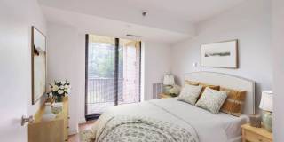 Crystal Place Gallery 4