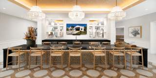 Solea at Miami Lakes Gallery 6