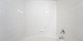 7277 Bindweed Road Gallery 24