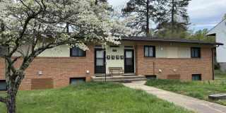 115 APPLE TREE RD Gallery 1