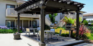 La Jolla Canyon Gallery 25