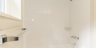 Geno Baroni Gallery 25