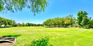 Beautiful Single-Level Custom Home with Serene Backyard Space in the Lovely Peppertree Park Community of Fallbrook! Gallery 77