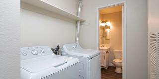 Golden Pacific Gallery 6