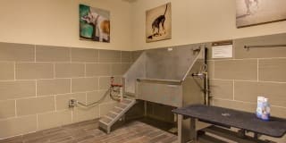 AMLI Riverfront Park Gallery 20