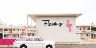 Flamingo Flamingo Gallery 1