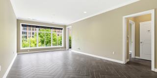 250 Daniel Burnham Square Gallery 22