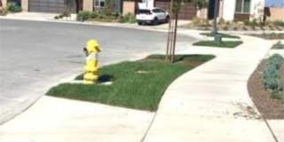 4725 S Mae Wy Gallery 16