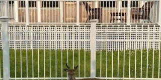 178 Wilmot Road Gallery 1