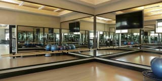 The Allure Mineola Gallery 24