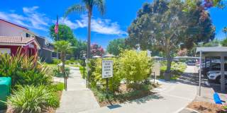 Las Ventanas Gallery 24