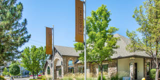 Maison's Landing Gallery 12