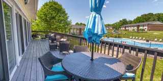 Allandale Falls Gallery 6