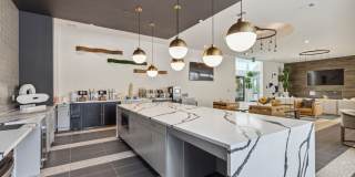 LynnCora Gallery 18