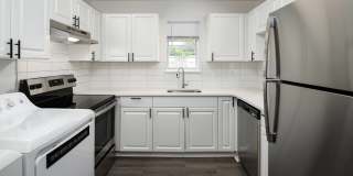 Hidden Colony Gallery 11